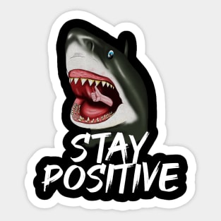 Shark, Stay Positive, Motivational Sticker